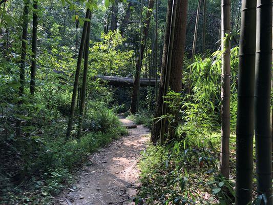 View from the trail.