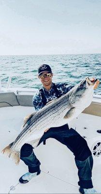 Cape Cod Striper