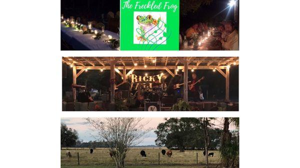 The Freckled Frog Venue