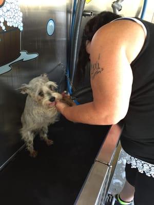 Holly enjoying her pet friendly dog wash located at the Rockport Dog wash near Fulton Harbor Texas. So Cute!