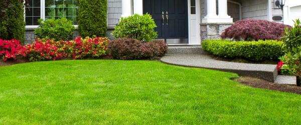 Lawn Care Frederick MD