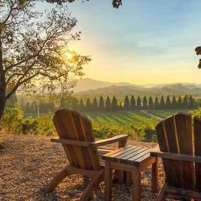 Sweeping views from our Adirondacks at Copain Wines.