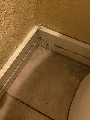 Bathroom floor