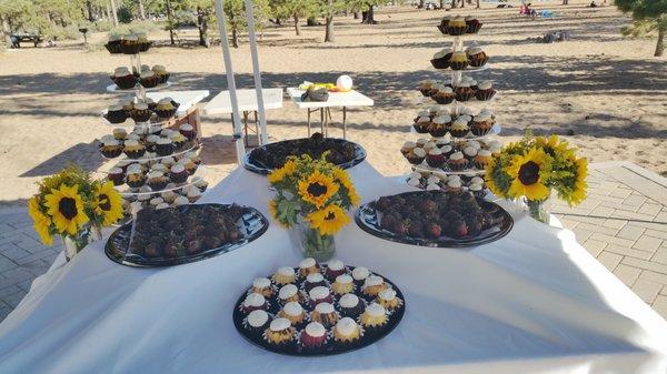 Tahoe wedding full coordination plus staffing event - setup, bussing, buffet management, and teardown