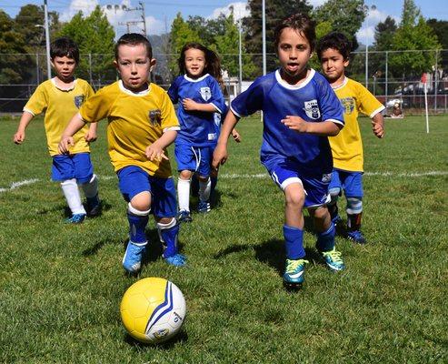 Soccer is a social sport; ABSC encourages teams of friends and classmates. abscSoccer.com