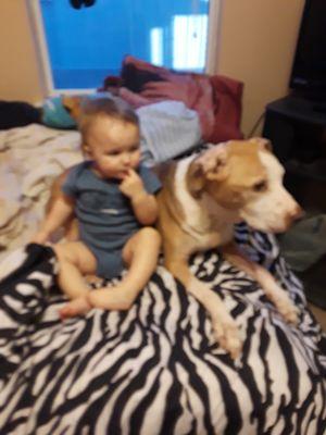 My fur baby girl is so good with my grandson.  Kaya and Carson.