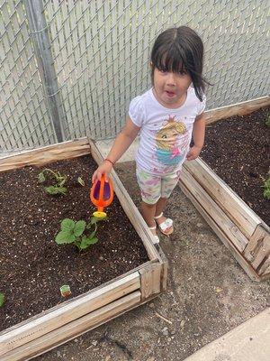 We currently have a garden to have access to fresh food.