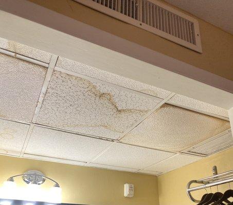 Ceiling tiles in sink area