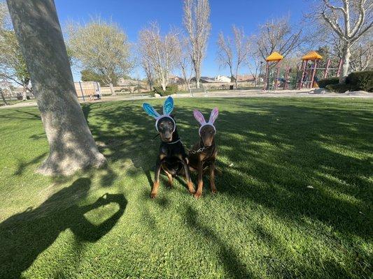 Melo & Remy posing for photos