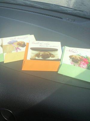 Pug cards! Got them to mail one to the kids I nannied for!