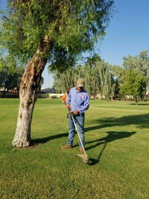 TURF AERATION & OVERSEEDING-We aerate 30% of the sq footage of turf areas annually each spring. Our objective is to rotate application.