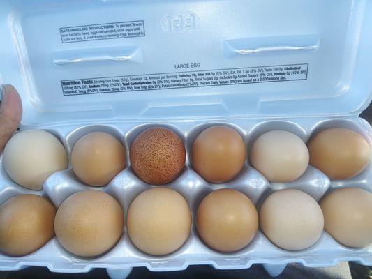 Farm fresh eggs$6