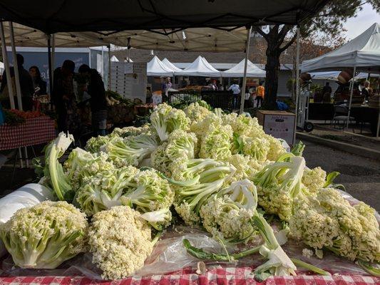 Special cauliflower