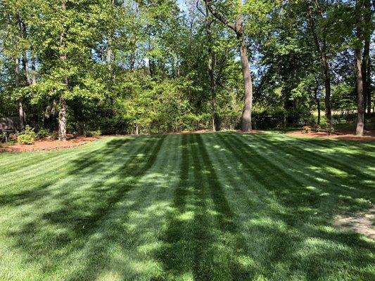 Beautiful yard we maintain in Oak Ridge, NC.