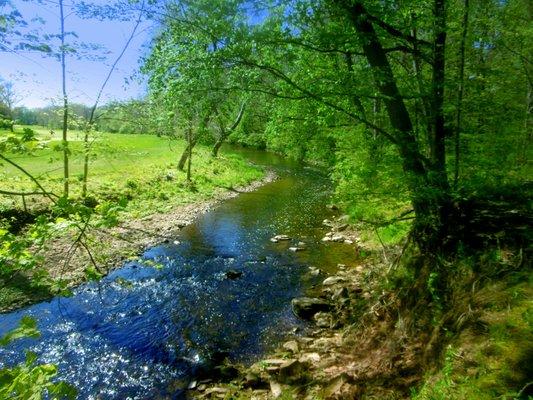 Spring hiking is so pretty