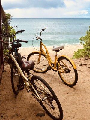 Beach cruisers