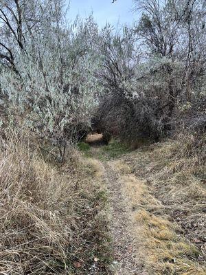 Chamna Natural Preserve