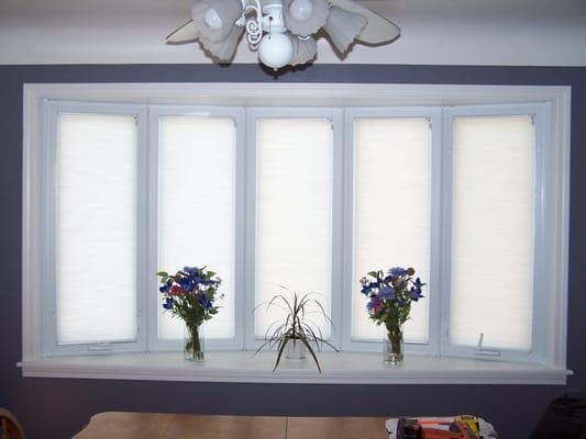 Cellular Shades - Bow Window