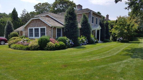 Nestling the house Deer resistant