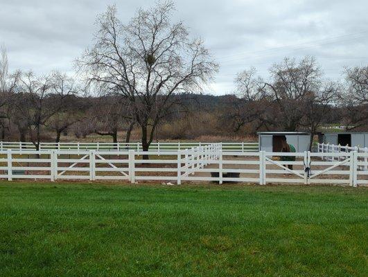 4 rail vinyl paddock and pasture fence