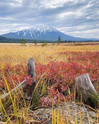 Sparks Lake