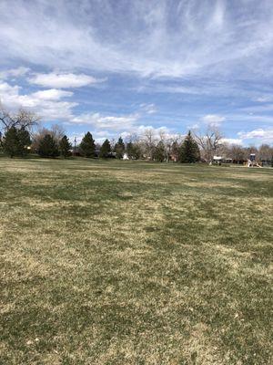 Large open space. Great for dogs or frisbee and other field games.