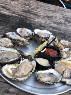 Amazing oysters!!!