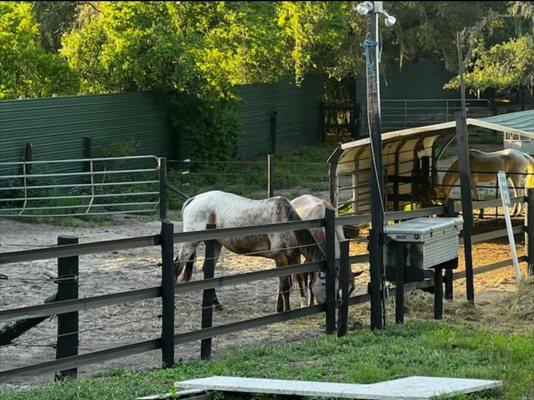 Sunset Riding Stables