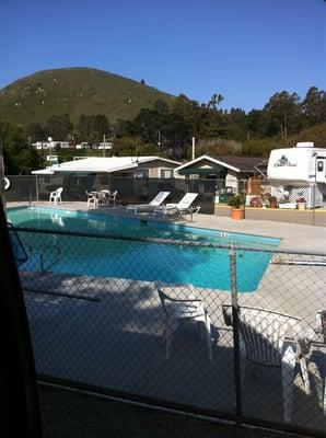 Bay Pines pool area