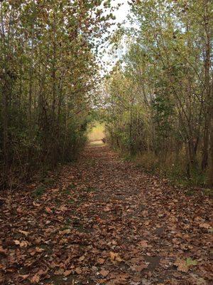 Riverside Woods Trails