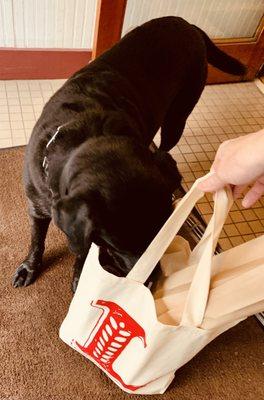 Aspen's first trip to a bakery!