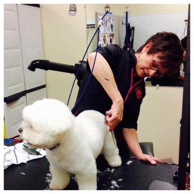 Our amazing groomer, Laura