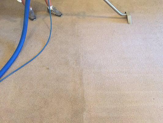 Carpet Cleaning