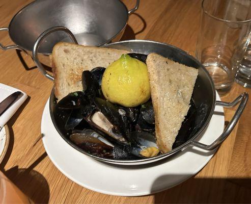 Mussels