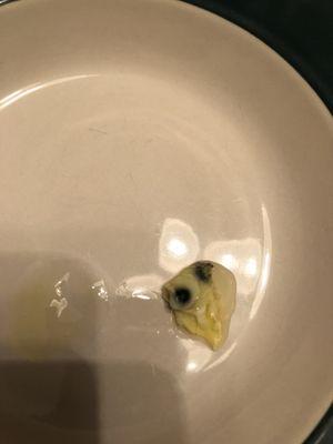 Found this mold (yes mold I picked it apart) in my egg drop soup. After I had eaten some of it.