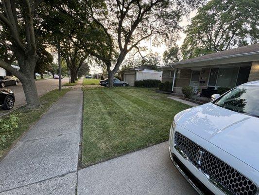 Butta Cutz Landscaping