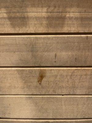 Looks like someone either got a little too excited in the sauna or left their boogers for other people to look at