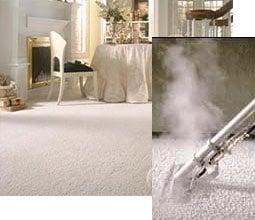 Expert Carpet Cleaning Service You Can Trust