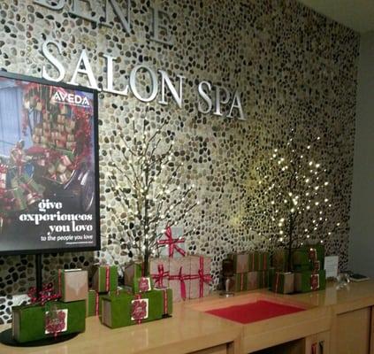 Ben E Salon Spa Holiday 2013