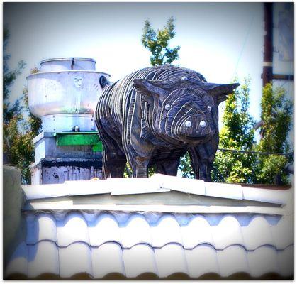 "Carnitas" on his regular spot atop the shack.