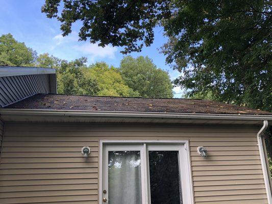 Roof that was 3/4 covered in moss