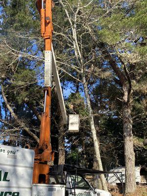 Coastal Tree Service