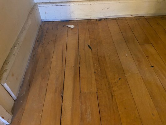 Closet floor after FOUR hours of cleaning.