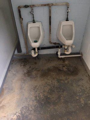 The bathrooms are disgusting!