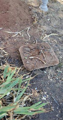 This is the concrete lid that was left off the tank and off to the side. I was unable to lift it myself. Picture taken 8/26/21