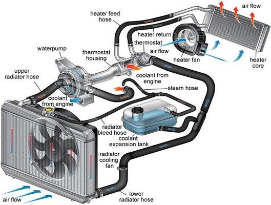 Coolant System Diagram for most vehicles.