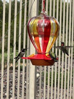 I love their cute hummingbird feeders