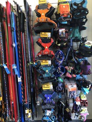 Harnesses & Leashes