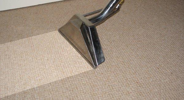 Carpet steam cleaning