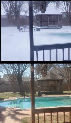 A great picture captured by one of our customers! This picture was taken exactly a week apart! Gotta love Texas weather